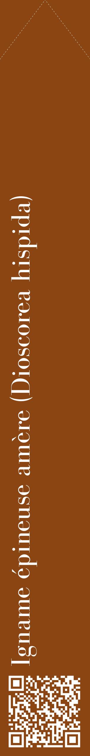 Étiquette de : Dioscorea hispida - format c - style blanche30_simplebod avec qrcode et comestibilité