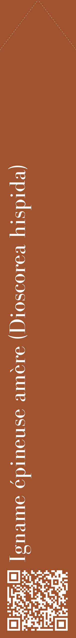 Étiquette de : Dioscorea hispida - format c - style blanche32_simplebod avec qrcode et comestibilité