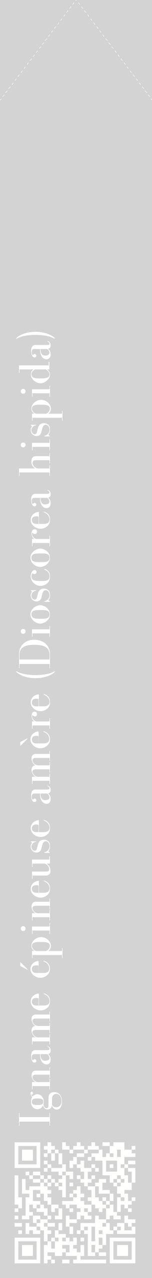 Étiquette de : Dioscorea hispida - format c - style blanche56_simplebod avec qrcode et comestibilité