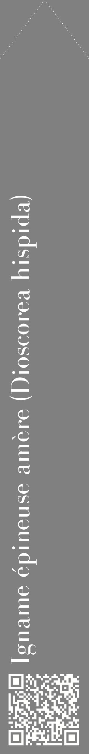 Étiquette de : Dioscorea hispida - format c - style blanche57_simplebod avec qrcode et comestibilité