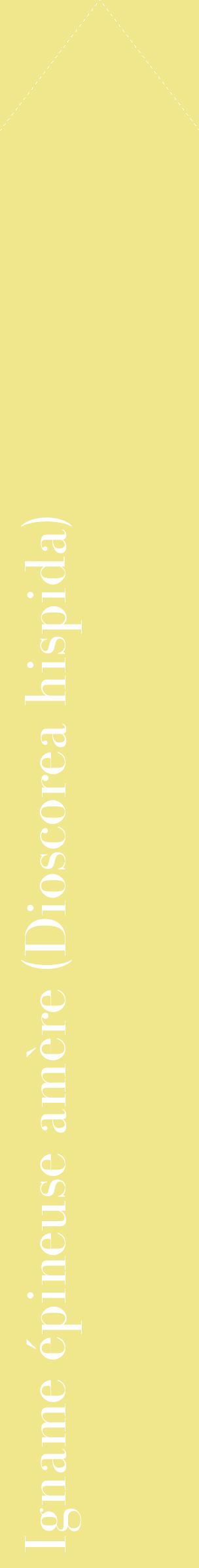 Étiquette de : Dioscorea hispida - format c - style blanche20_simplebod avec comestibilité