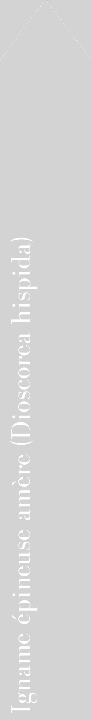 Étiquette de : Dioscorea hispida - format c - style blanche56_simplebod avec comestibilité