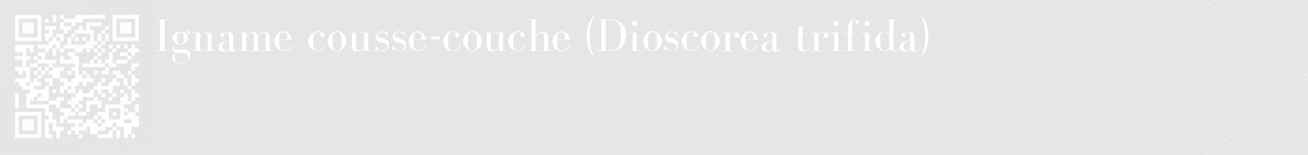 Étiquette de : Dioscorea trifida - format c - style blanche18_simple_simplebod avec qrcode et comestibilité