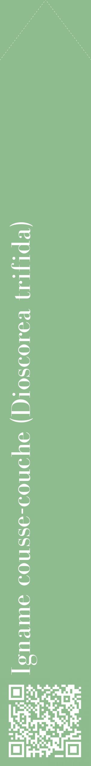 Étiquette de : Dioscorea trifida - format c - style blanche13_simplebod avec qrcode et comestibilité