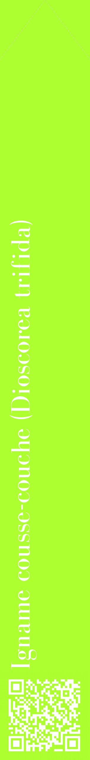 Étiquette de : Dioscorea trifida - format c - style blanche17_simplebod avec qrcode et comestibilité