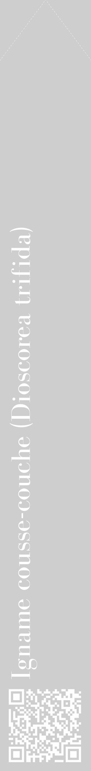 Étiquette de : Dioscorea trifida - format c - style blanche17_simple_simplebod avec qrcode et comestibilité - position verticale