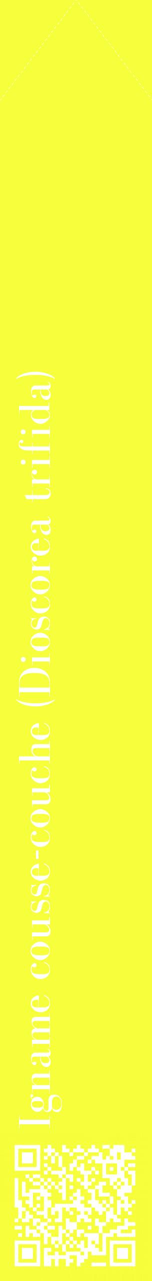 Étiquette de : Dioscorea trifida - format c - style blanche18_simplebod avec qrcode et comestibilité