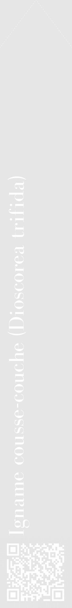Étiquette de : Dioscorea trifida - format c - style blanche18_simple_simplebod avec qrcode et comestibilité - position verticale