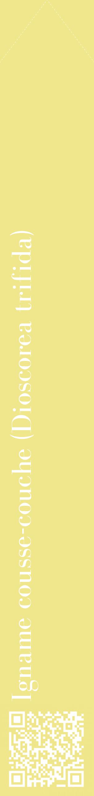 Étiquette de : Dioscorea trifida - format c - style blanche20_simplebod avec qrcode et comestibilité