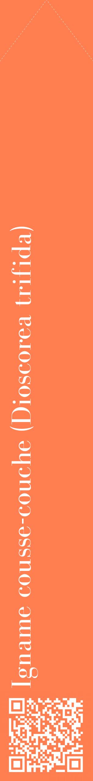 Étiquette de : Dioscorea trifida - format c - style blanche24_simplebod avec qrcode et comestibilité