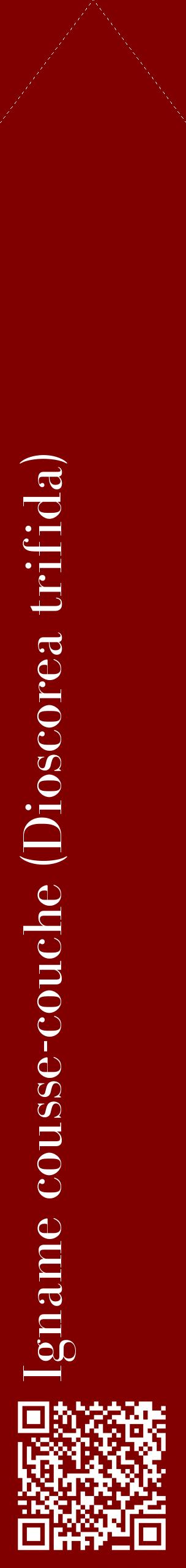 Étiquette de : Dioscorea trifida - format c - style blanche29_simplebod avec qrcode et comestibilité