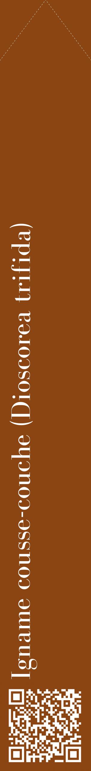 Étiquette de : Dioscorea trifida - format c - style blanche30_simplebod avec qrcode et comestibilité