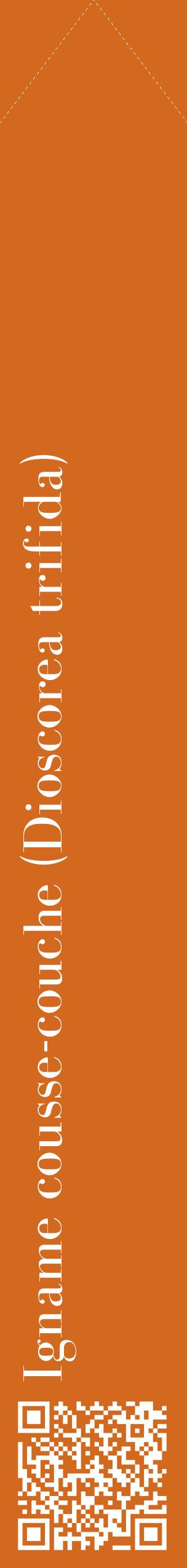 Étiquette de : Dioscorea trifida - format c - style blanche31_simplebod avec qrcode et comestibilité