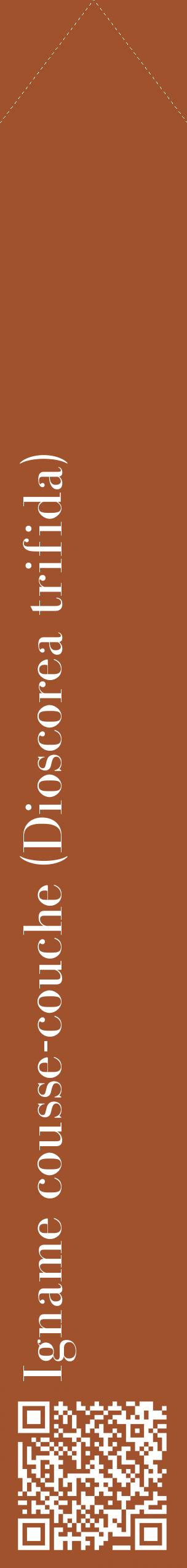 Étiquette de : Dioscorea trifida - format c - style blanche32_simplebod avec qrcode et comestibilité