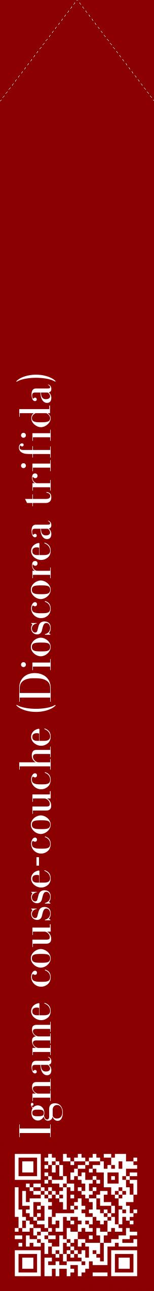 Étiquette de : Dioscorea trifida - format c - style blanche34_simplebod avec qrcode et comestibilité