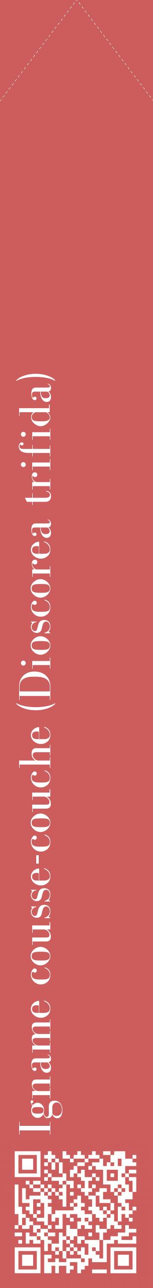 Étiquette de : Dioscorea trifida - format c - style blanche35_simplebod avec qrcode et comestibilité