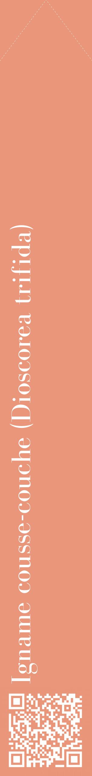 Étiquette de : Dioscorea trifida - format c - style blanche37_simplebod avec qrcode et comestibilité