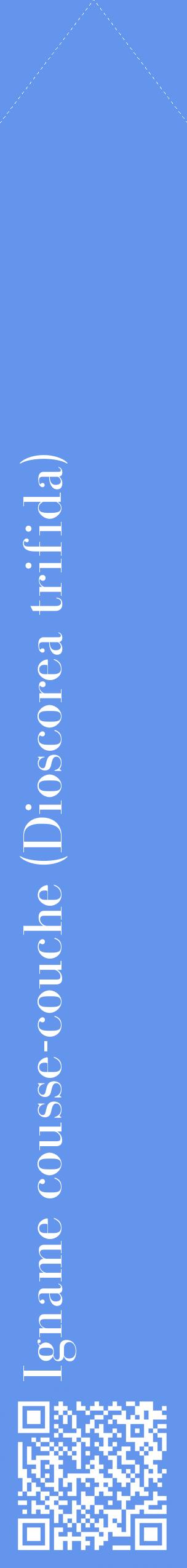 Étiquette de : Dioscorea trifida - format c - style blanche4_simplebod avec qrcode et comestibilité