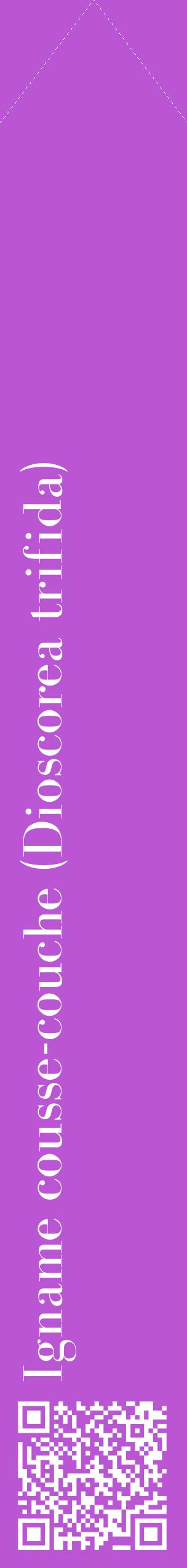 Étiquette de : Dioscorea trifida - format c - style blanche50_simplebod avec qrcode et comestibilité