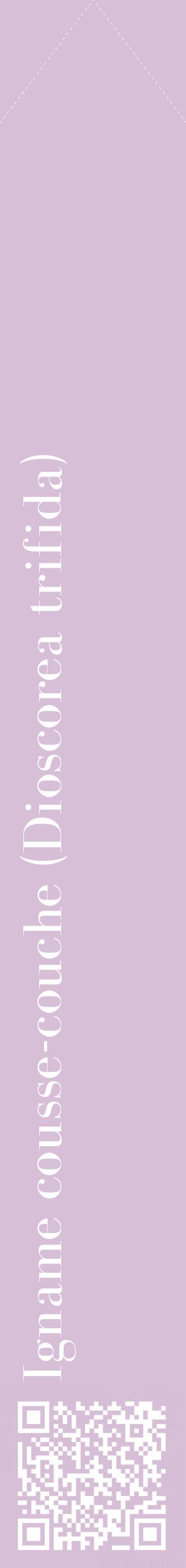 Étiquette de : Dioscorea trifida - format c - style blanche54_simplebod avec qrcode et comestibilité