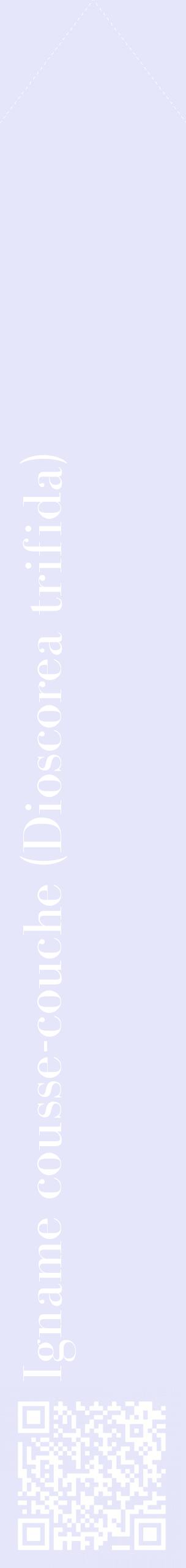 Étiquette de : Dioscorea trifida - format c - style blanche55_simplebod avec qrcode et comestibilité