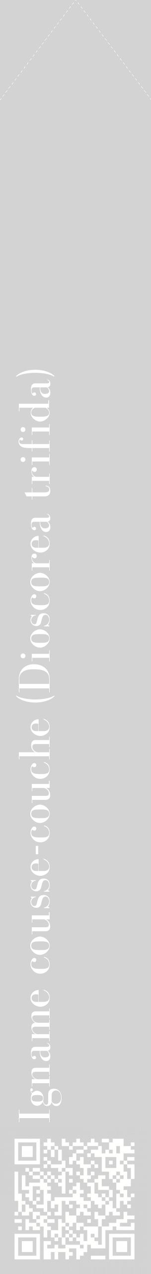 Étiquette de : Dioscorea trifida - format c - style blanche56_simplebod avec qrcode et comestibilité