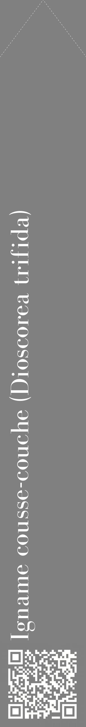 Étiquette de : Dioscorea trifida - format c - style blanche57_simplebod avec qrcode et comestibilité