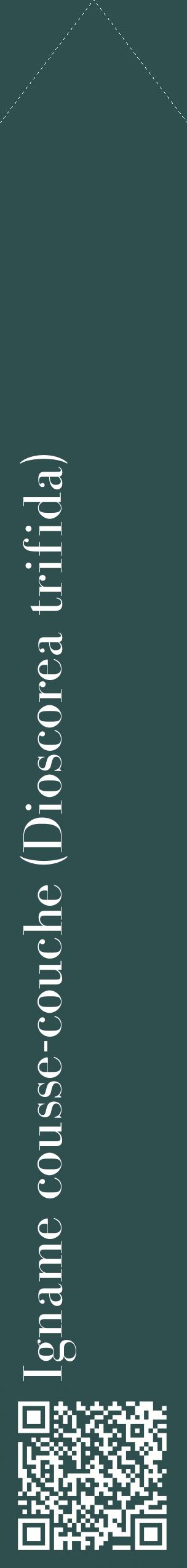 Étiquette de : Dioscorea trifida - format c - style blanche58_simplebod avec qrcode et comestibilité