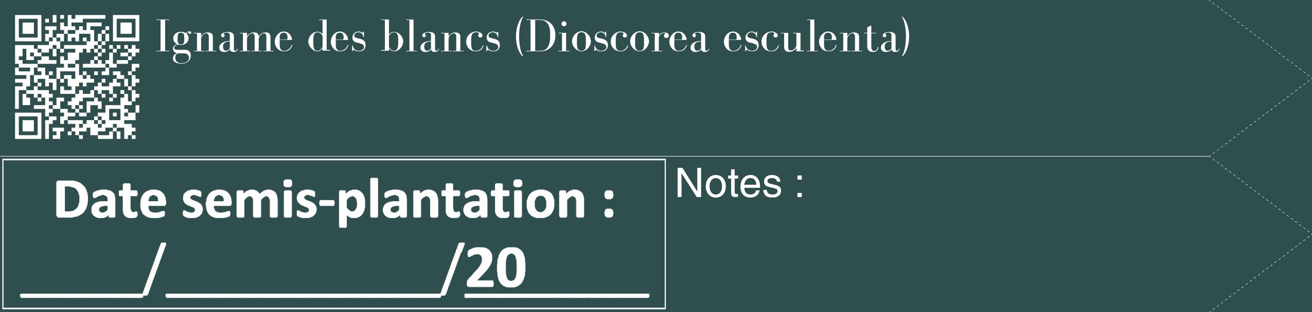 Étiquette de : Dioscorea esculenta - format c - style blanche58_simple_simplebod avec qrcode et comestibilité