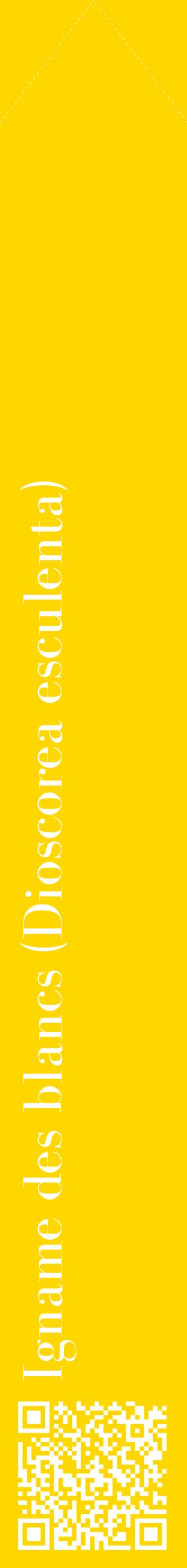 Étiquette de : Dioscorea esculenta - format c - style blanche21_simplebod avec qrcode et comestibilité
