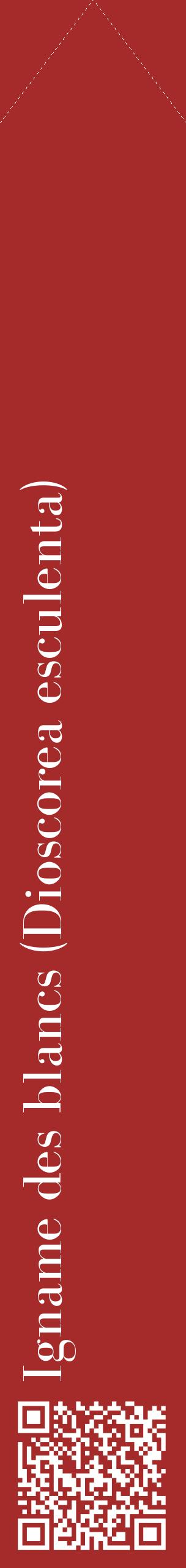 Étiquette de : Dioscorea esculenta - format c - style blanche33_simplebod avec qrcode et comestibilité