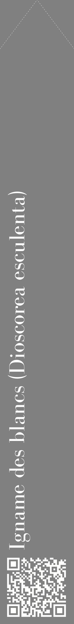 Étiquette de : Dioscorea esculenta - format c - style blanche57_simplebod avec qrcode et comestibilité