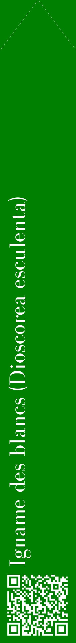 Étiquette de : Dioscorea esculenta - format c - style blanche9_simplebod avec qrcode et comestibilité