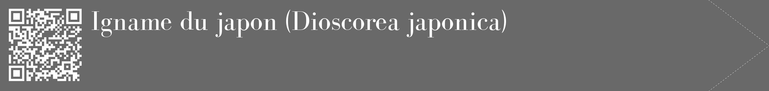 Étiquette de : Dioscorea japonica - format c - style blanche51_simple_simplebod avec qrcode et comestibilité