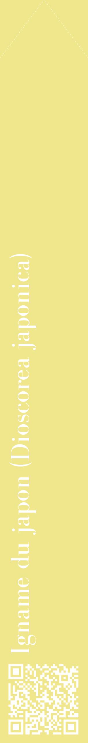 Étiquette de : Dioscorea japonica - format c - style blanche20_simplebod avec qrcode et comestibilité