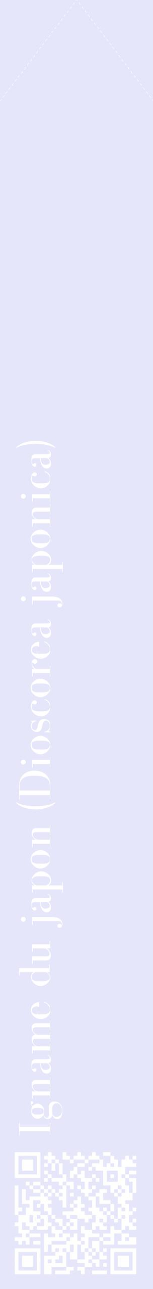 Étiquette de : Dioscorea japonica - format c - style blanche55_simplebod avec qrcode et comestibilité