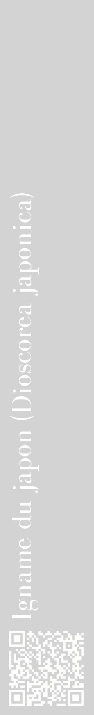 Étiquette de : Dioscorea japonica - format c - style blanche56_basiquebod avec qrcode et comestibilité