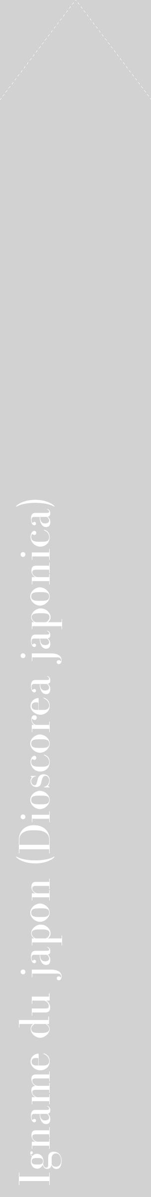 Étiquette de : Dioscorea japonica - format c - style blanche14_simple_simplebod avec comestibilité - position verticale