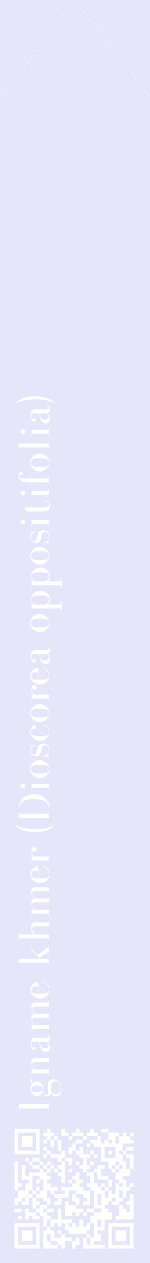 Étiquette de : Dioscorea oppositifolia - format c - style blanche55_simplebod avec qrcode et comestibilité