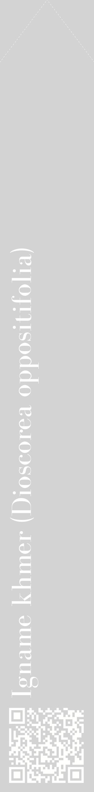 Étiquette de : Dioscorea oppositifolia - format c - style blanche56_simplebod avec qrcode et comestibilité