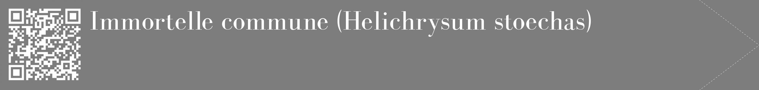Étiquette de : Helichrysum stoechas - format c - style blanche35_simple_simplebod avec qrcode et comestibilité