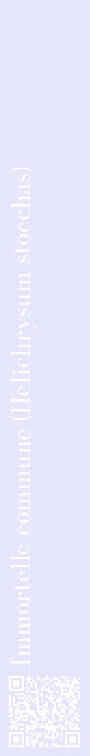 Étiquette de : Helichrysum stoechas - format c - style blanche55_simplebod avec qrcode et comestibilité