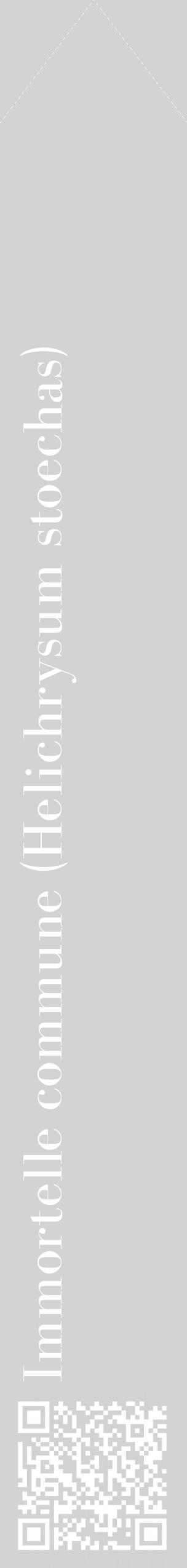 Étiquette de : Helichrysum stoechas - format c - style blanche56_simplebod avec qrcode et comestibilité