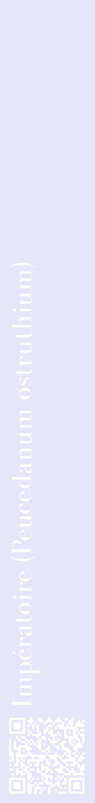 Étiquette de : Peucedanum ostruthium - format c - style blanche55_simplebod avec qrcode et comestibilité