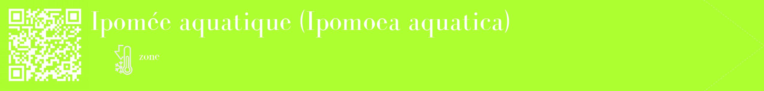 Étiquette de : Ipomoea aquatica - format c - style blanche17_simple_simplebod avec qrcode et comestibilité
