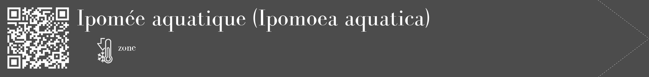 Étiquette de : Ipomoea aquatica - format c - style blanche27_simple_simplebod avec qrcode et comestibilité