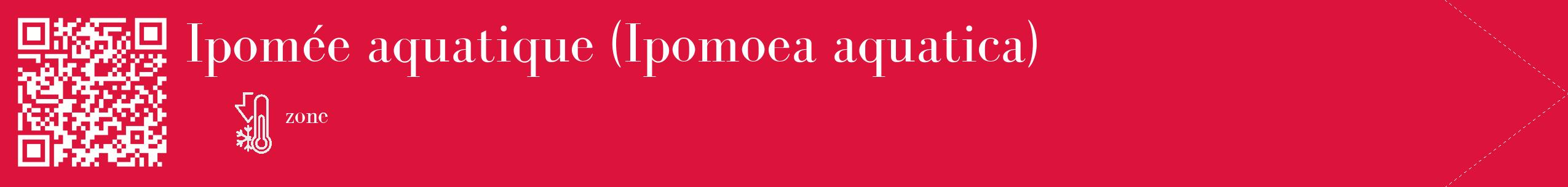 Étiquette de : Ipomoea aquatica - format c - style blanche36_simple_simplebod avec qrcode et comestibilité