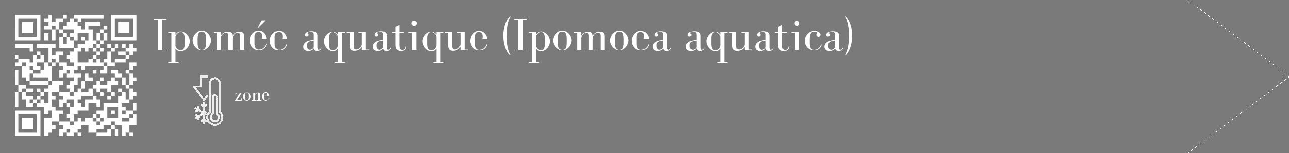 Étiquette de : Ipomoea aquatica - format c - style blanche3_simple_simplebod avec qrcode et comestibilité