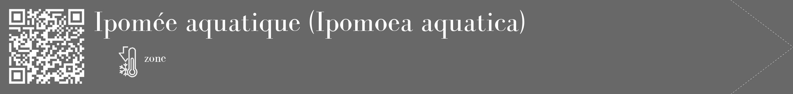 Étiquette de : Ipomoea aquatica - format c - style blanche6_simple_simplebod avec qrcode et comestibilité