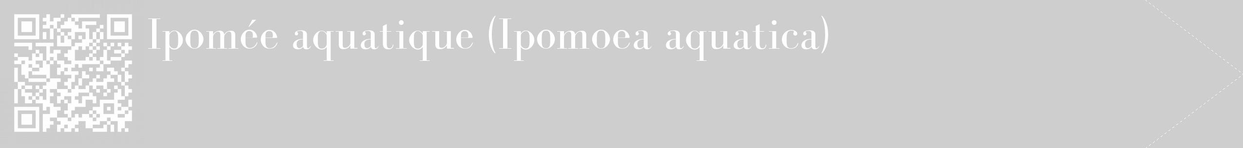 Étiquette de : Ipomoea aquatica - format c - style blanche17_simple_simplebod avec qrcode et comestibilité